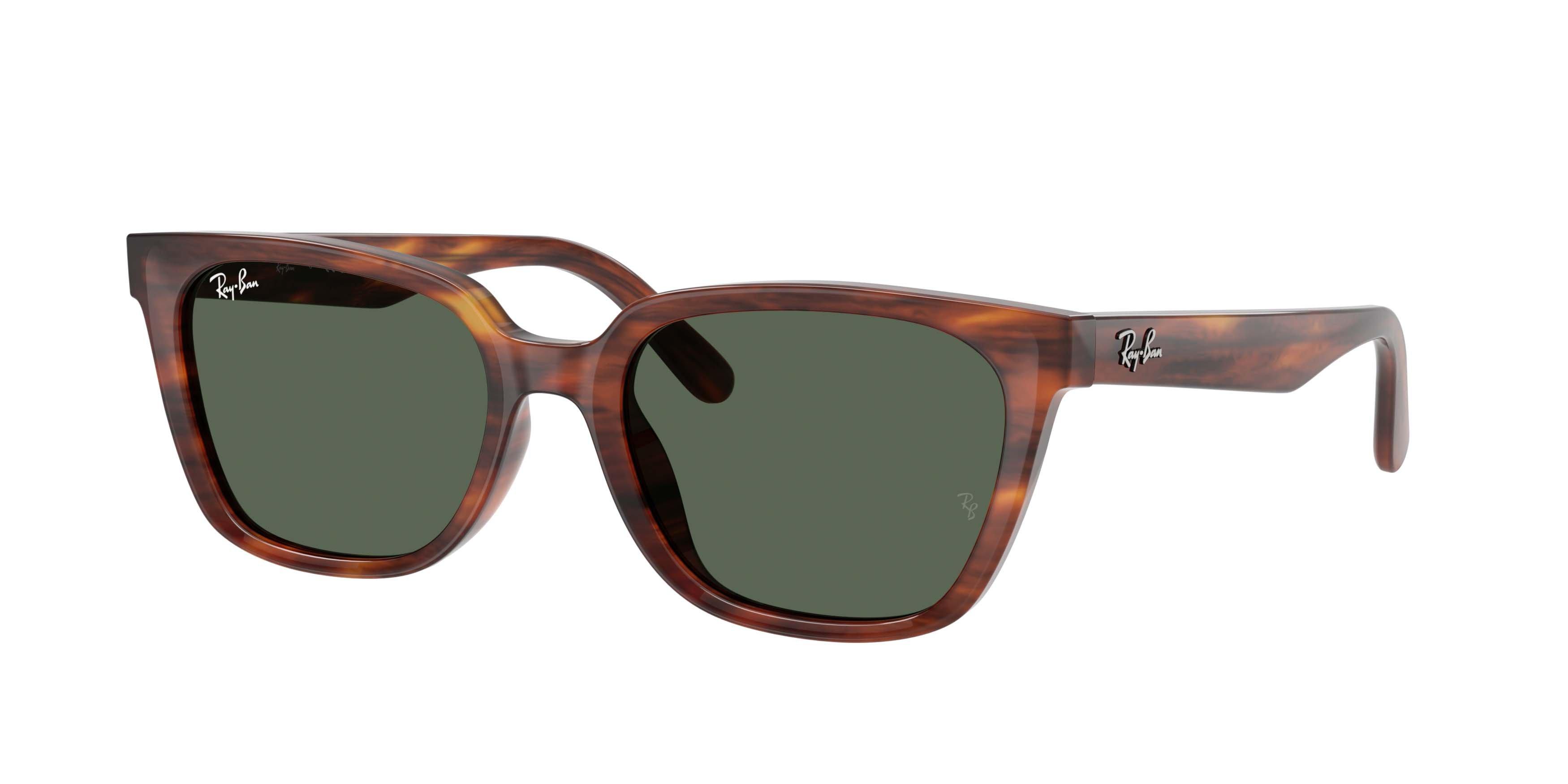 Ray-Ban RB2243D Dark Green Sunglasses - Havana Striped - BROWN/GREEN